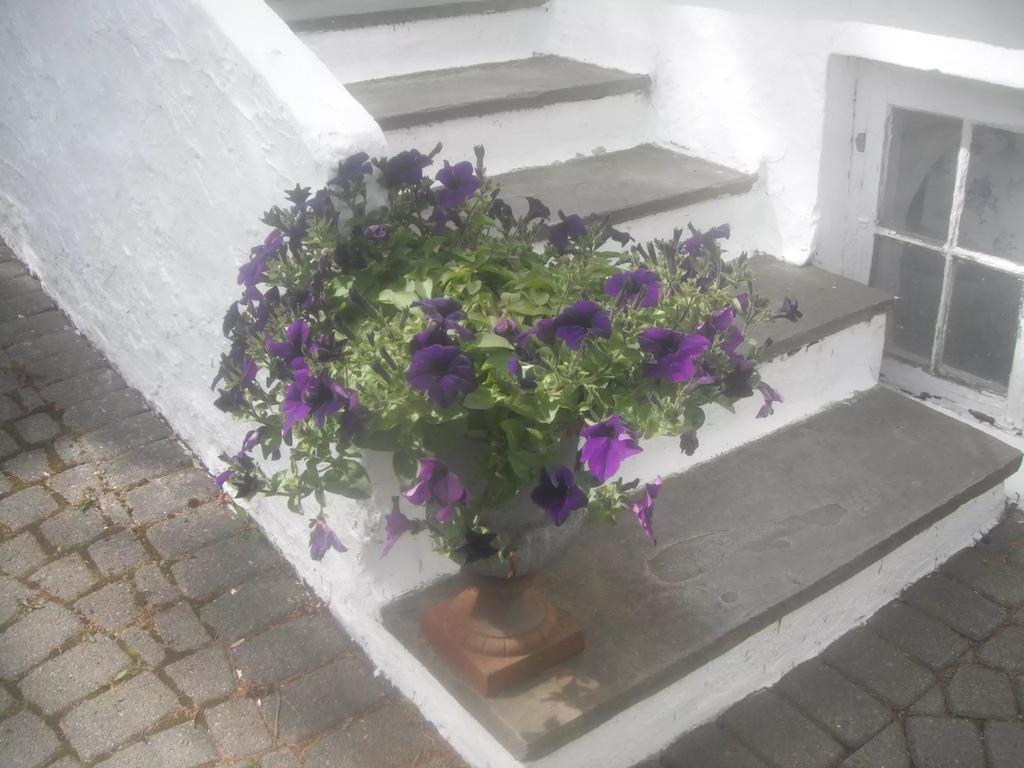 Leilighet Bed Books & Breakfast *