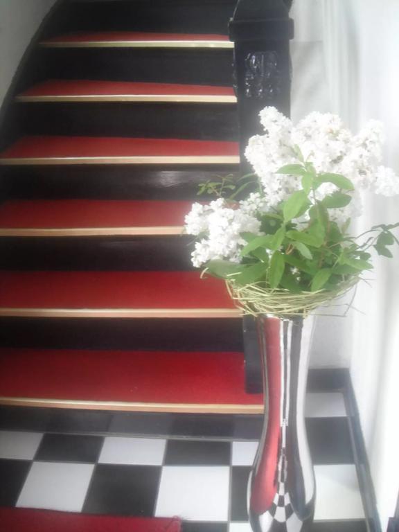 Bed Books & Breakfast Leilighet